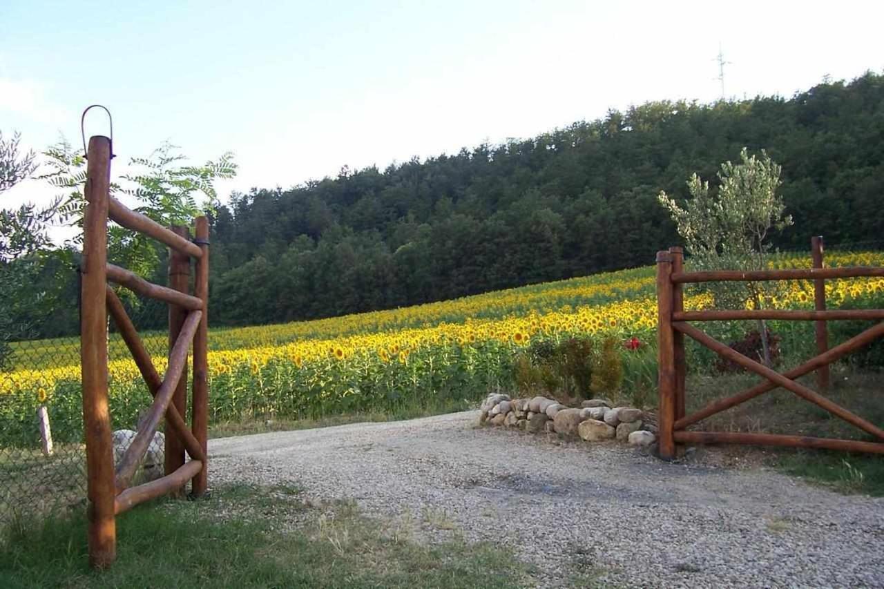 Appartamenti Con Cucina Nelle Colline Toscane Anghiari Ngoại thất bức ảnh