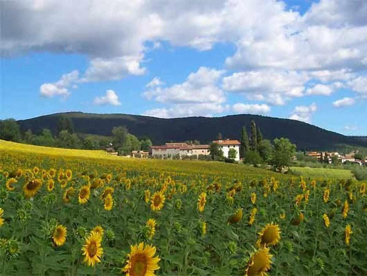 Appartamenti Con Cucina Nelle Colline Toscane Anghiari Ngoại thất bức ảnh